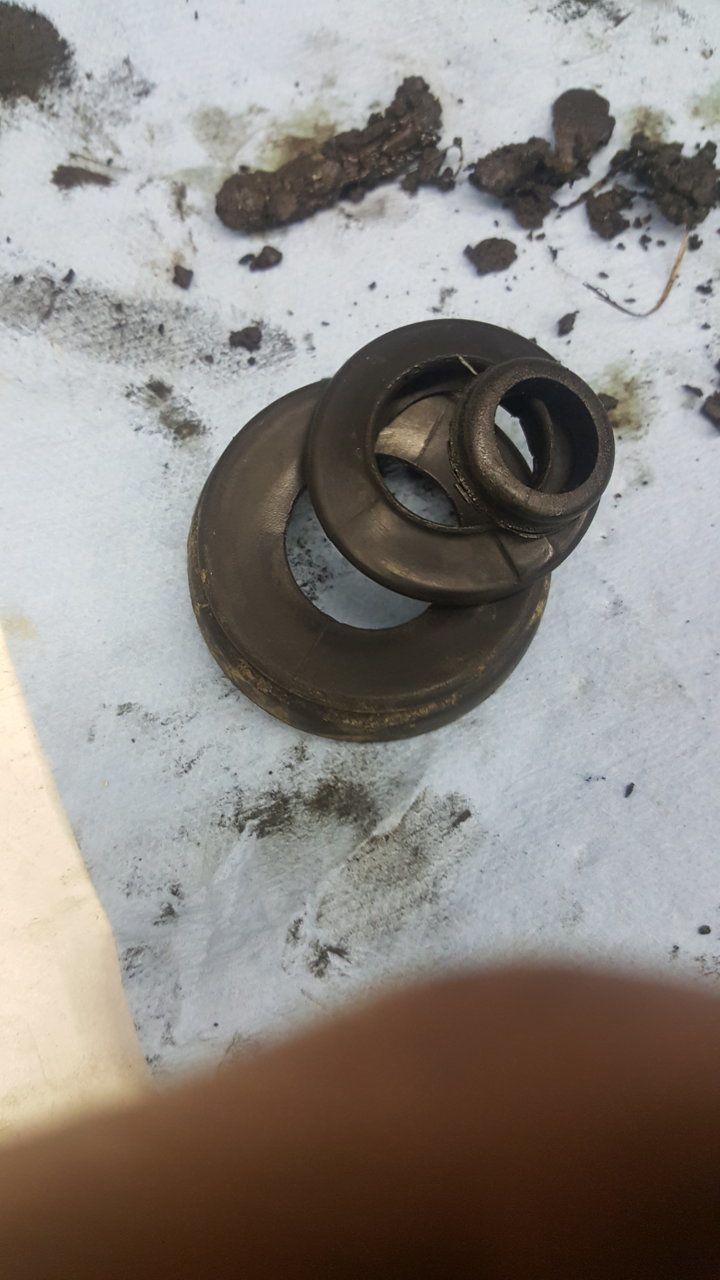 20180607_184600.jpg