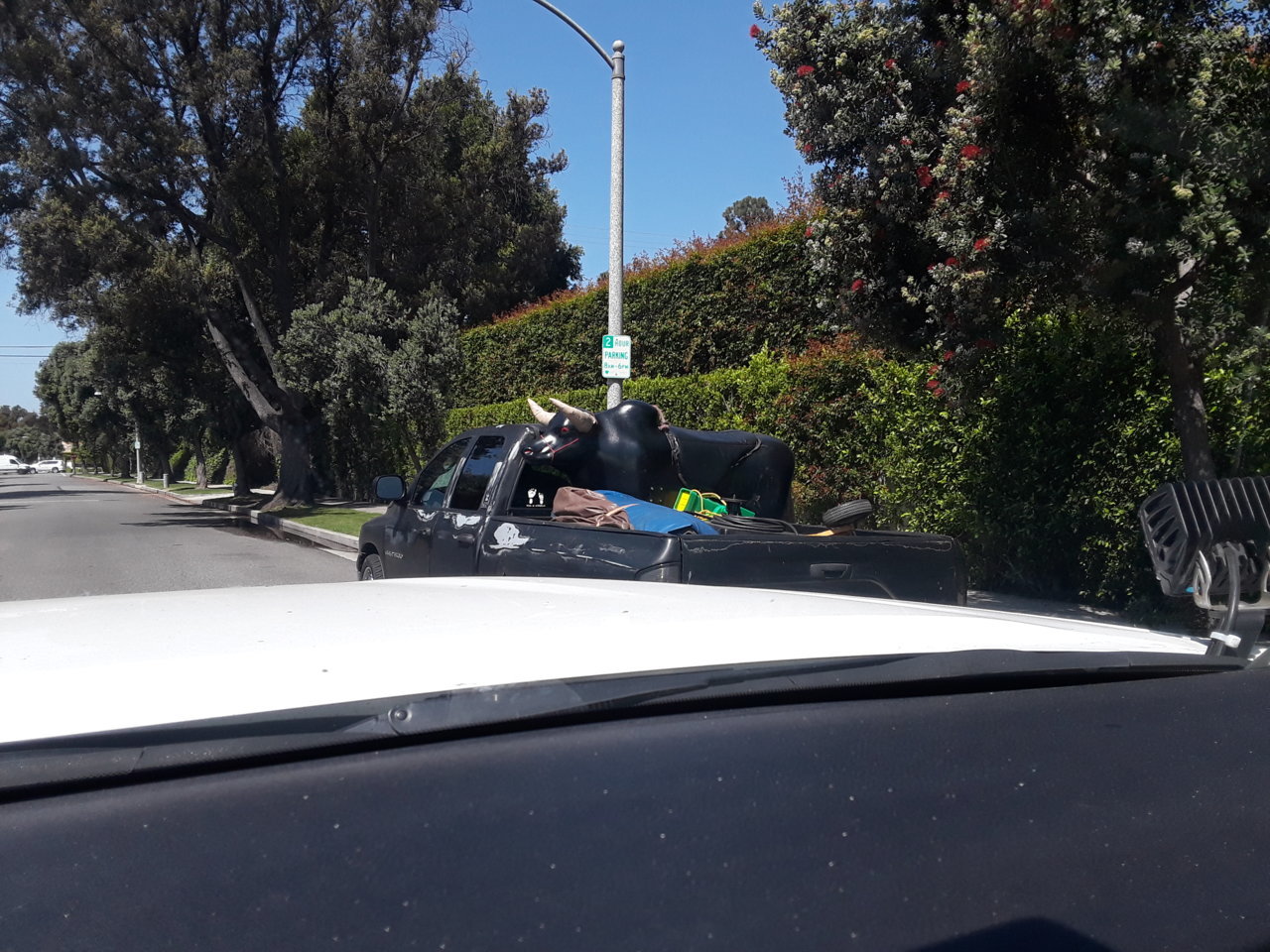 20180608_102938.jpg