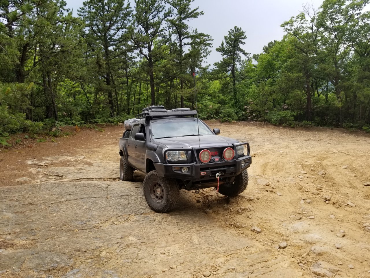20180608_154024.jpg
