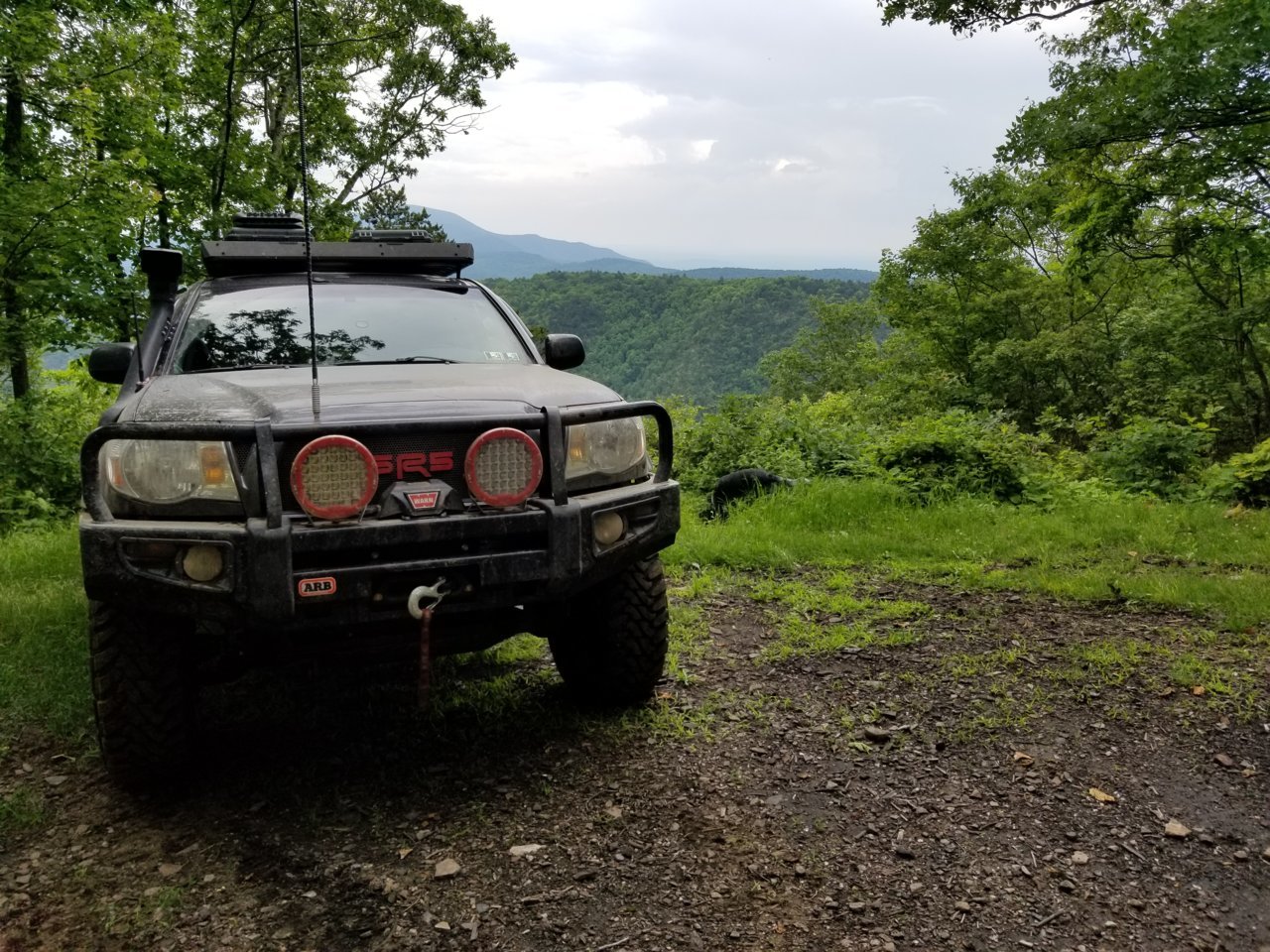 20180608_175931.jpg