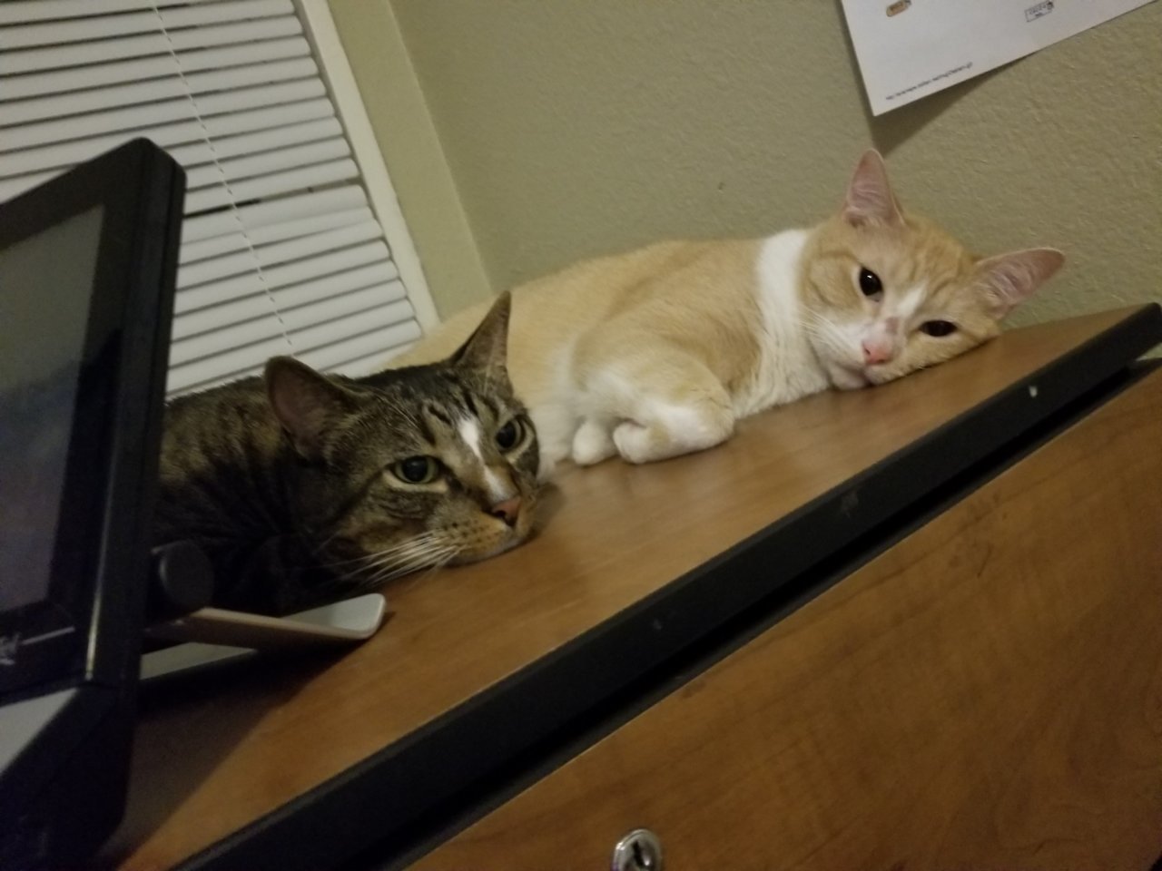 20180608_220331.jpg