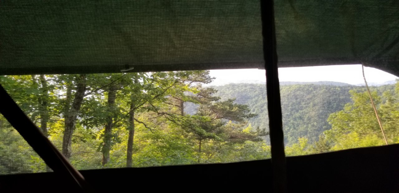 20180609_073252.jpg