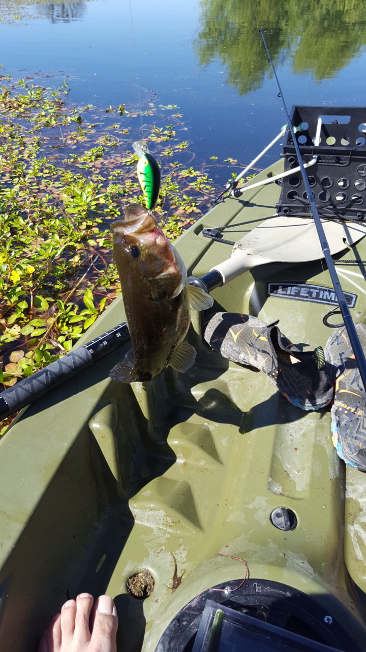 20180609_094836.jpg