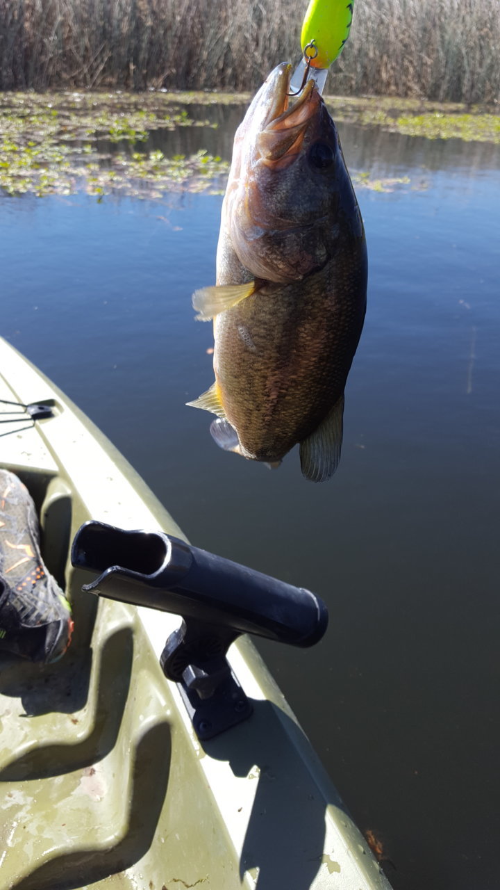 20180609_102238.jpg