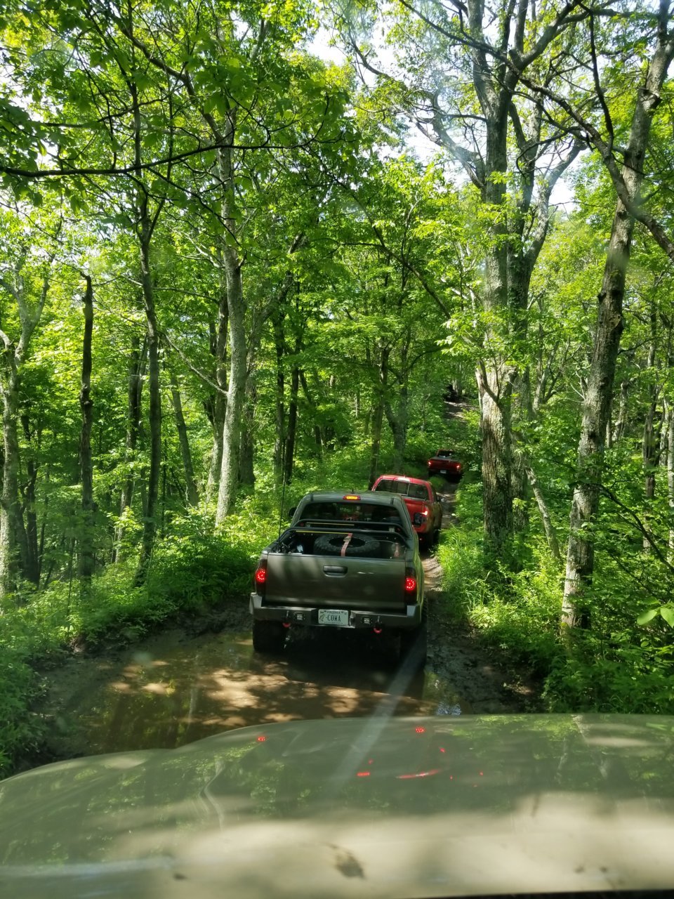 20180609_104906.jpg