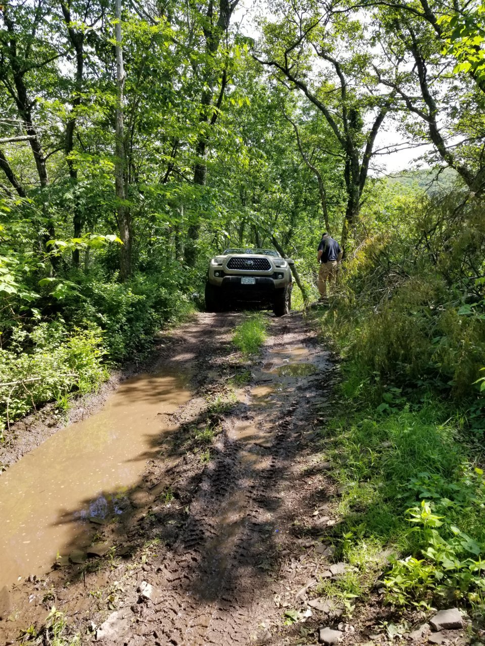 20180609_105243.jpg