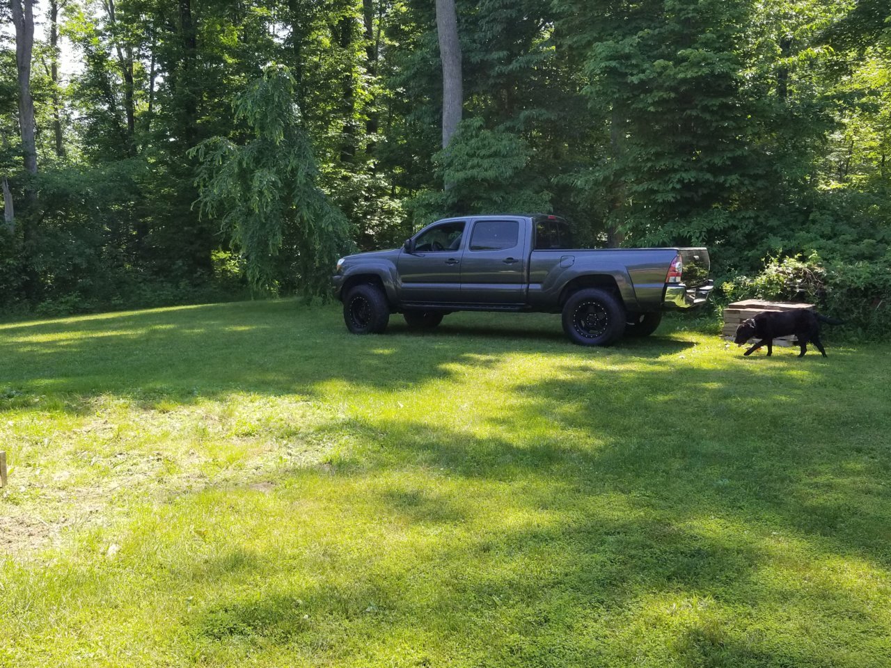 20180609_110820.jpg