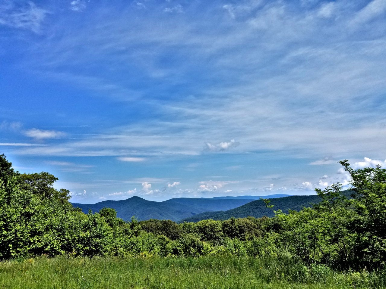 20180609_112844.jpg
