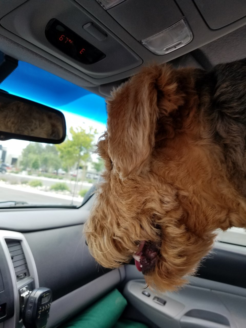 20180609_114744.jpg