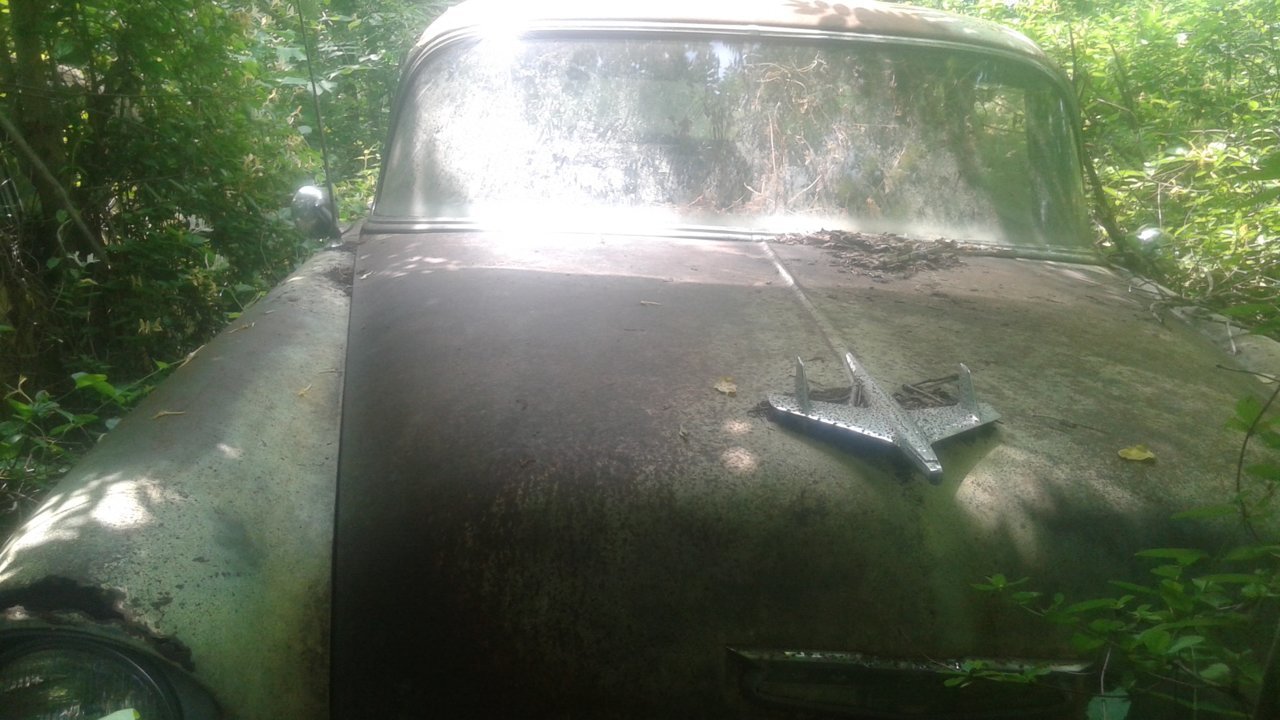 20180609_124929.jpg