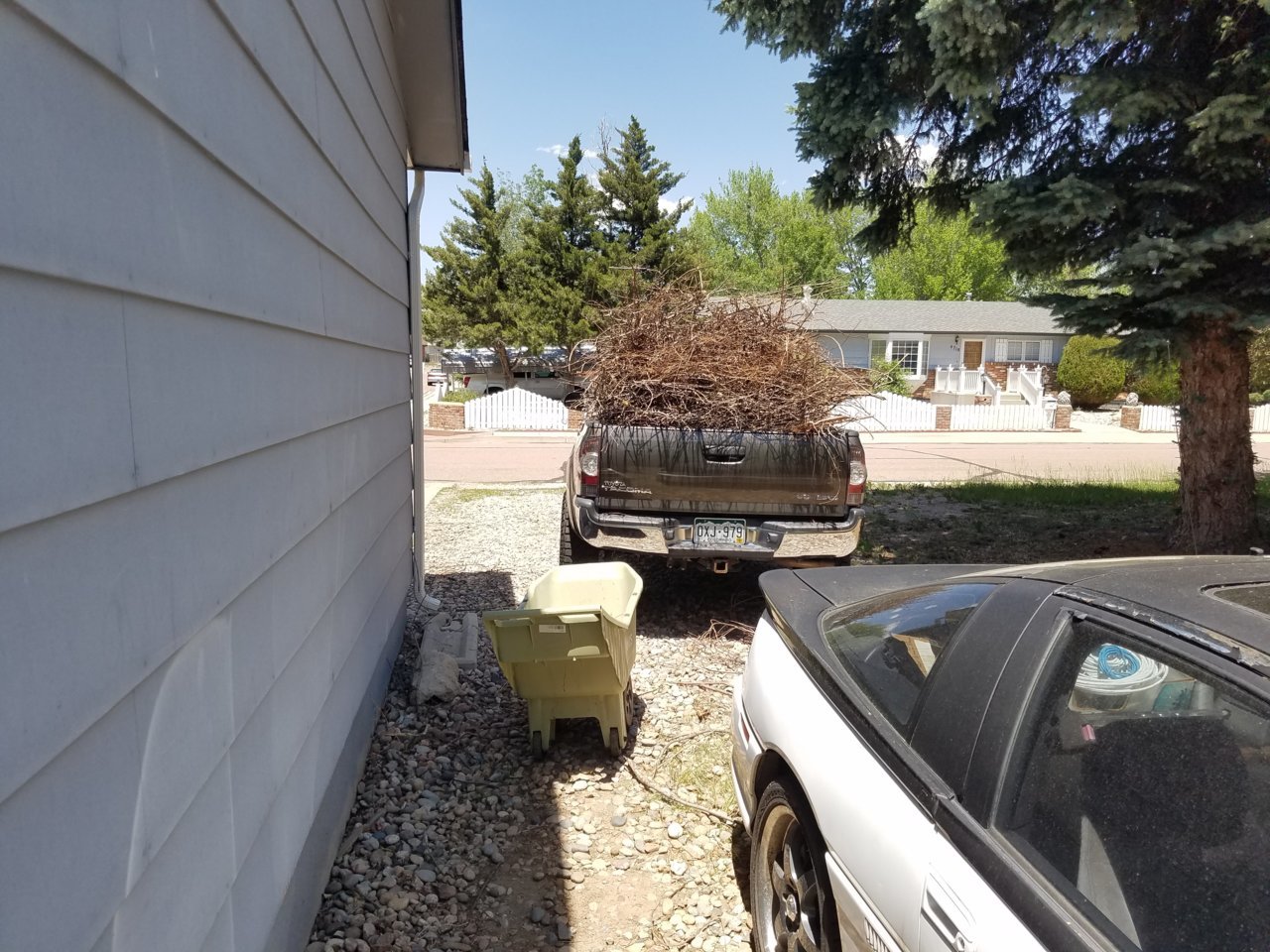 20180609_131959.jpg