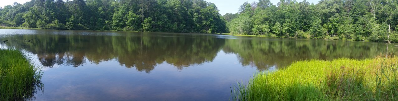 20180610_092939.jpg