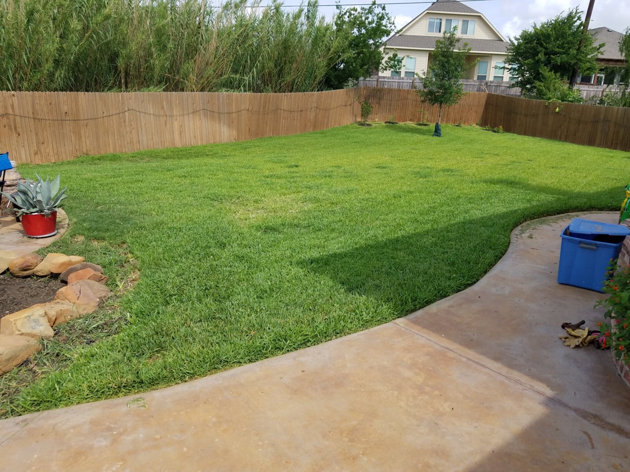 20180610_103343.jpg