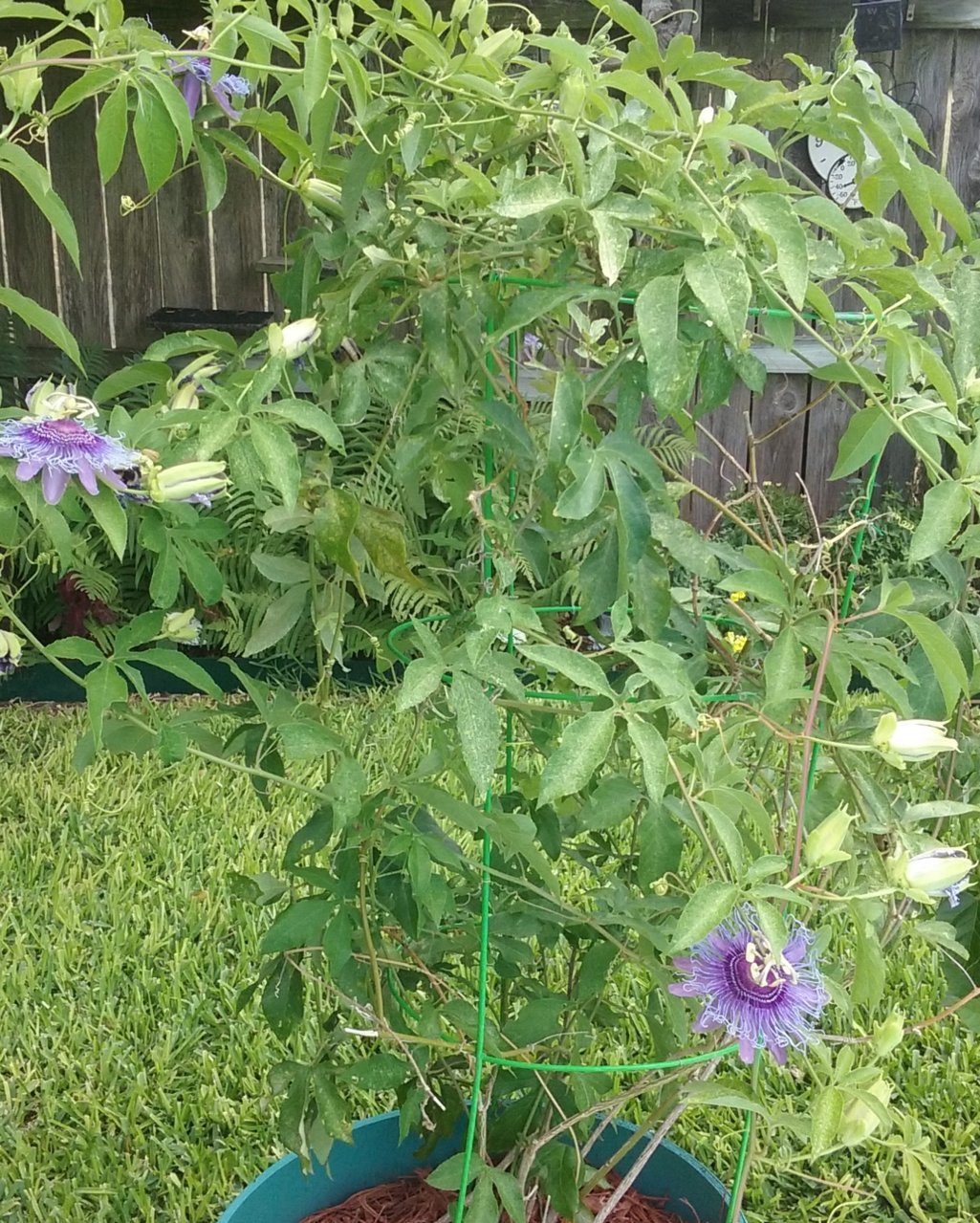 20180610_113510.jpg