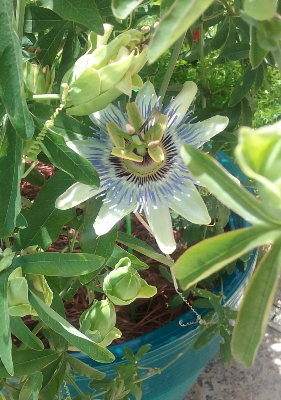 20180610_122245.jpg