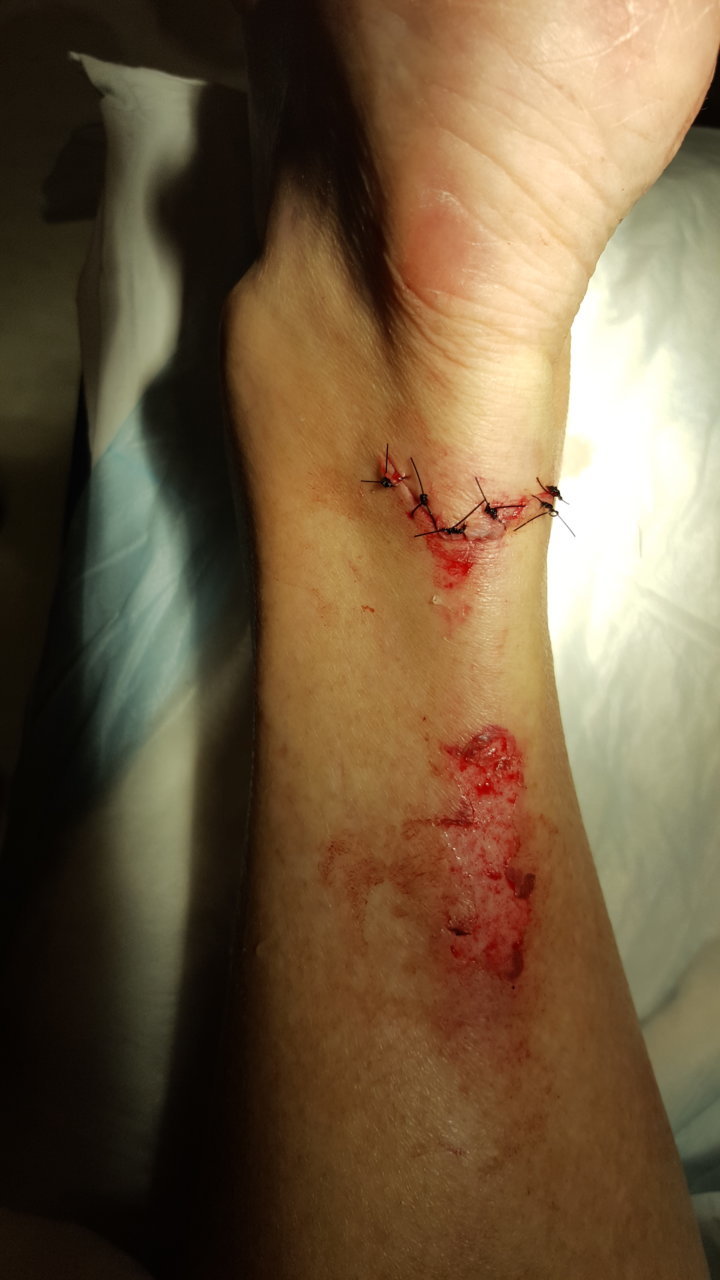 20180610_171156.jpg