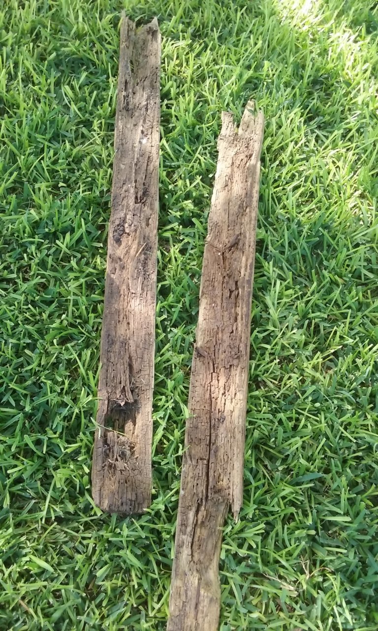 20180611_163648.jpg