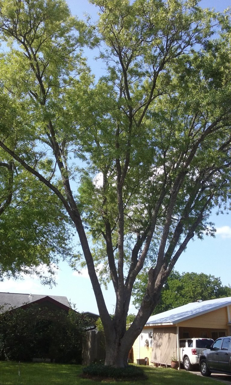 20180611_165442.jpg