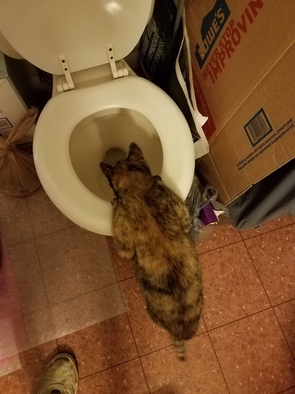 20180613_005051.jpg