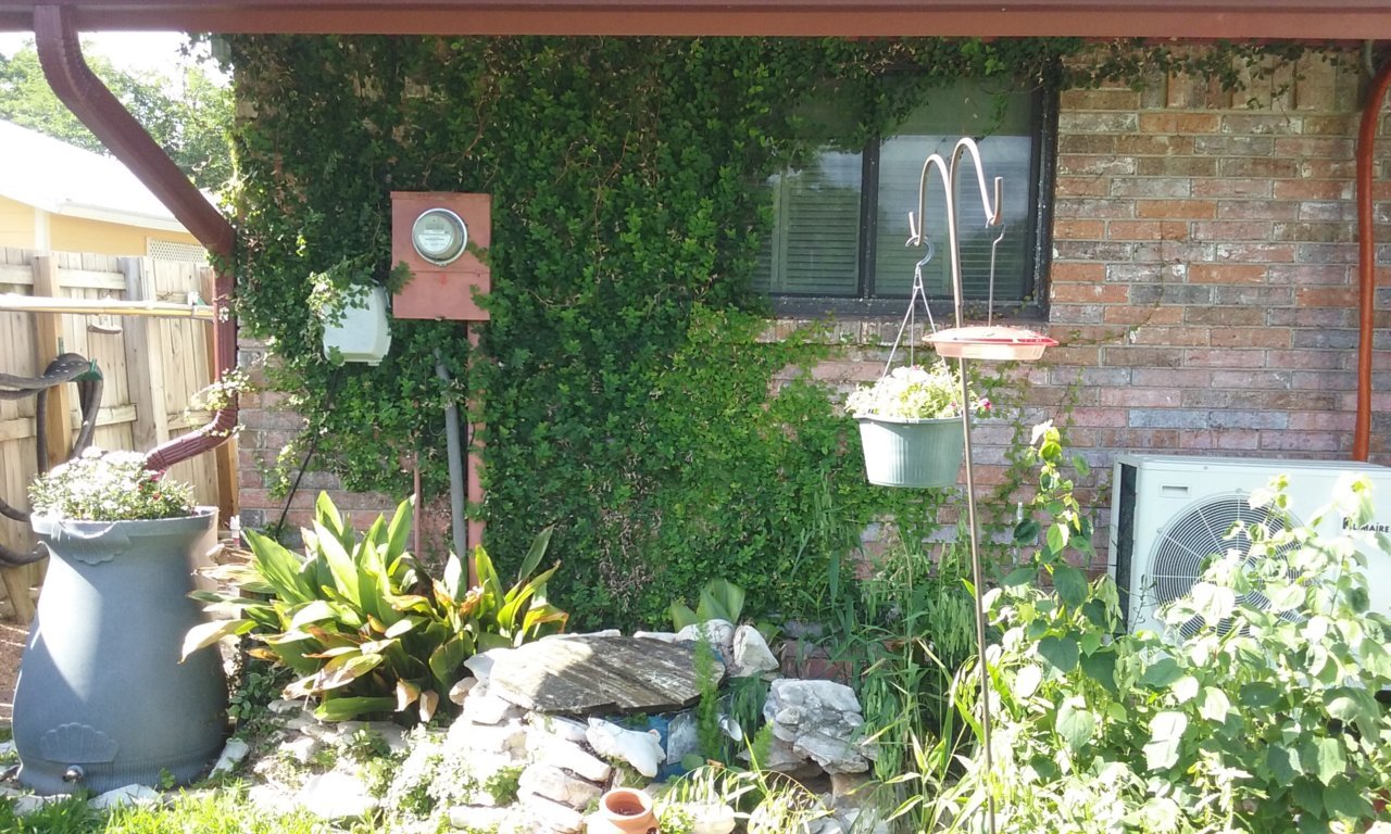 20180613_100708.jpg