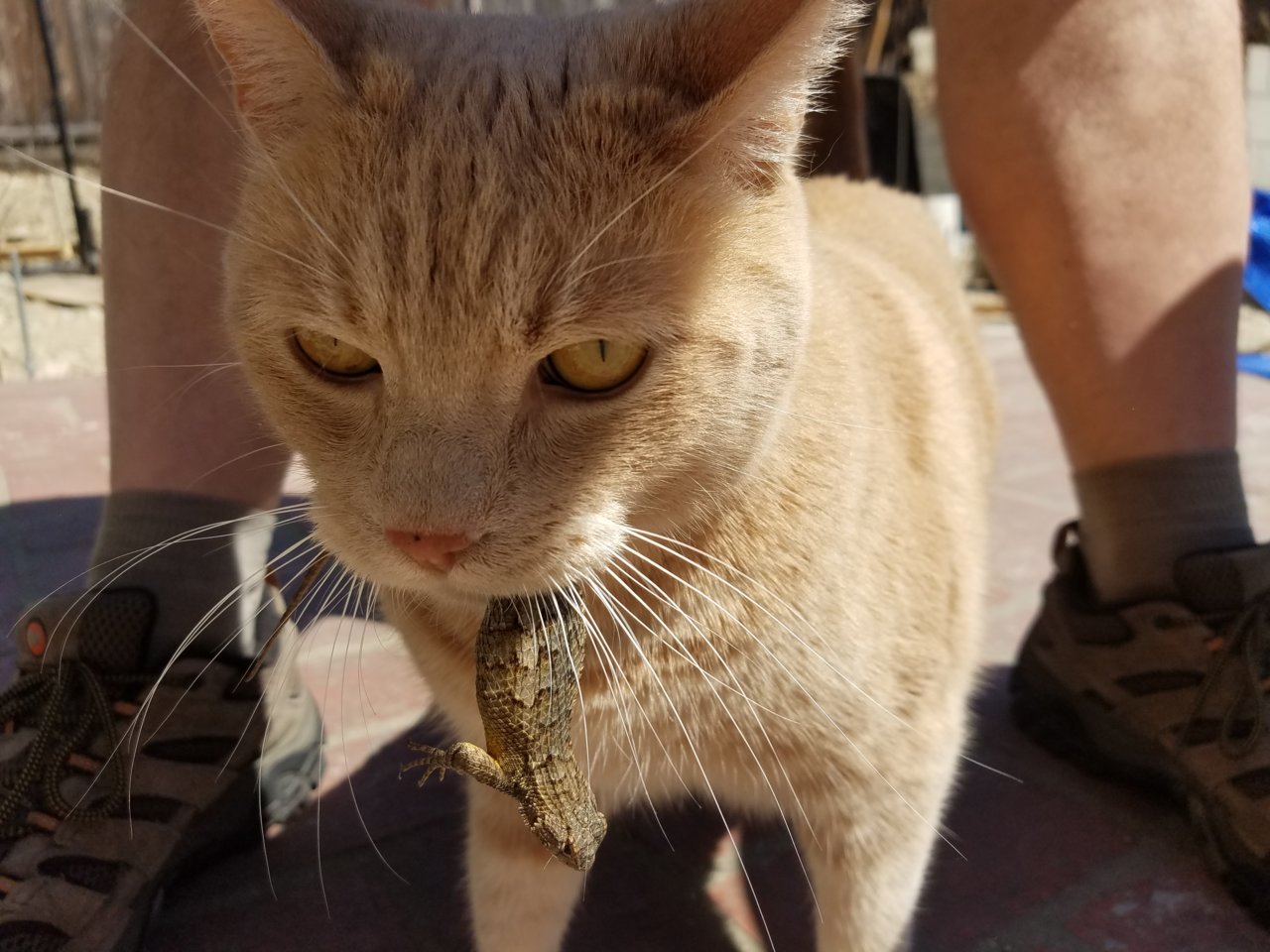 20180613_103626.jpg