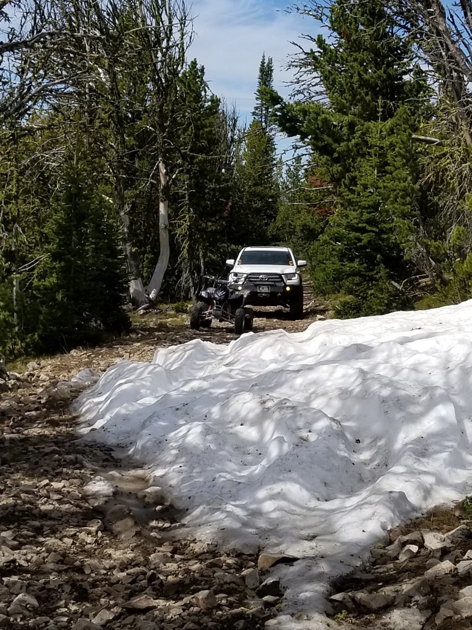 20180613_104445.jpg