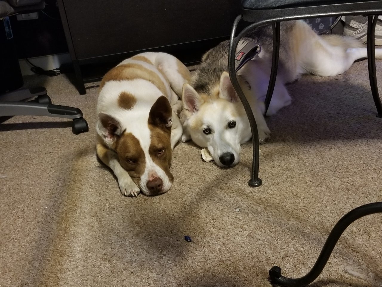 20180613_155955.jpg