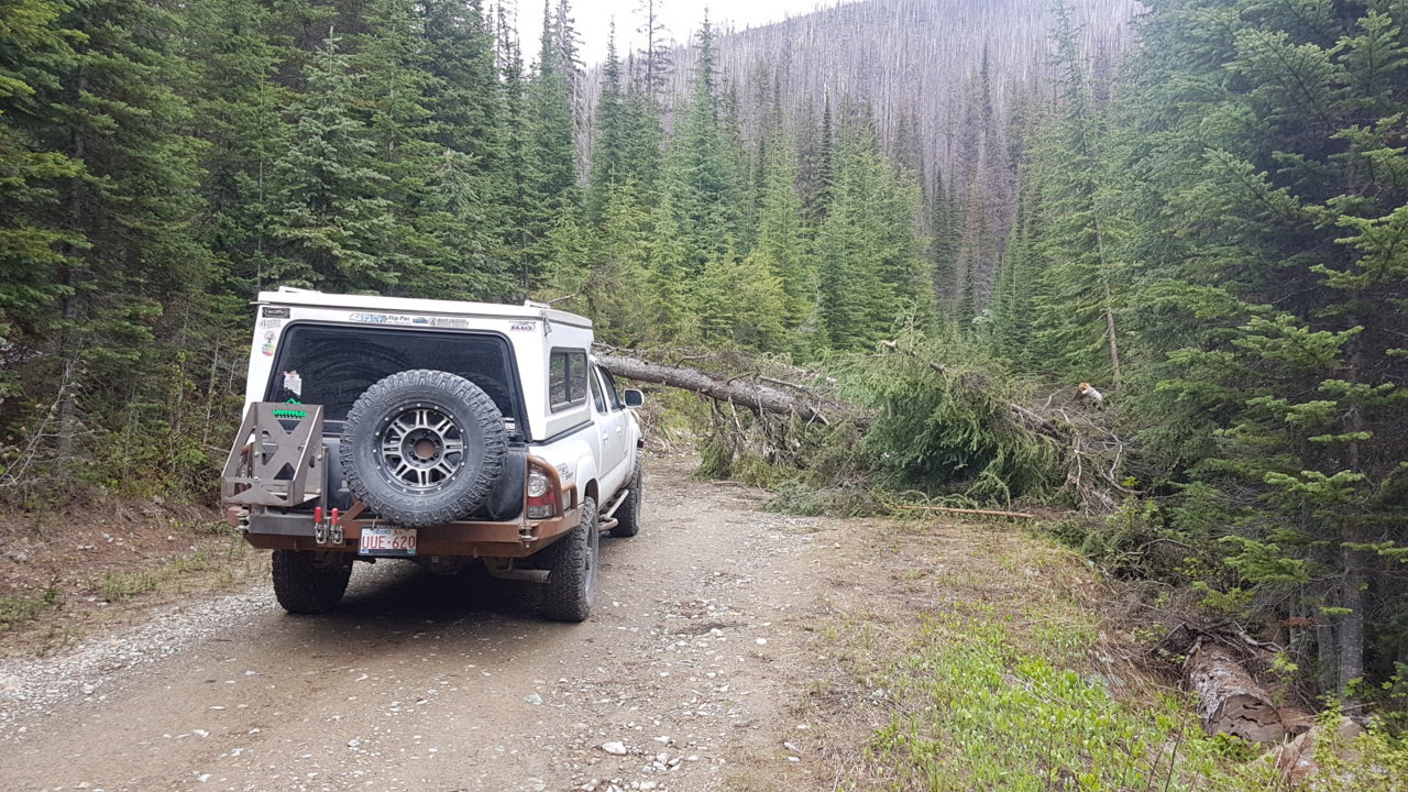 20180614_124058.jpg