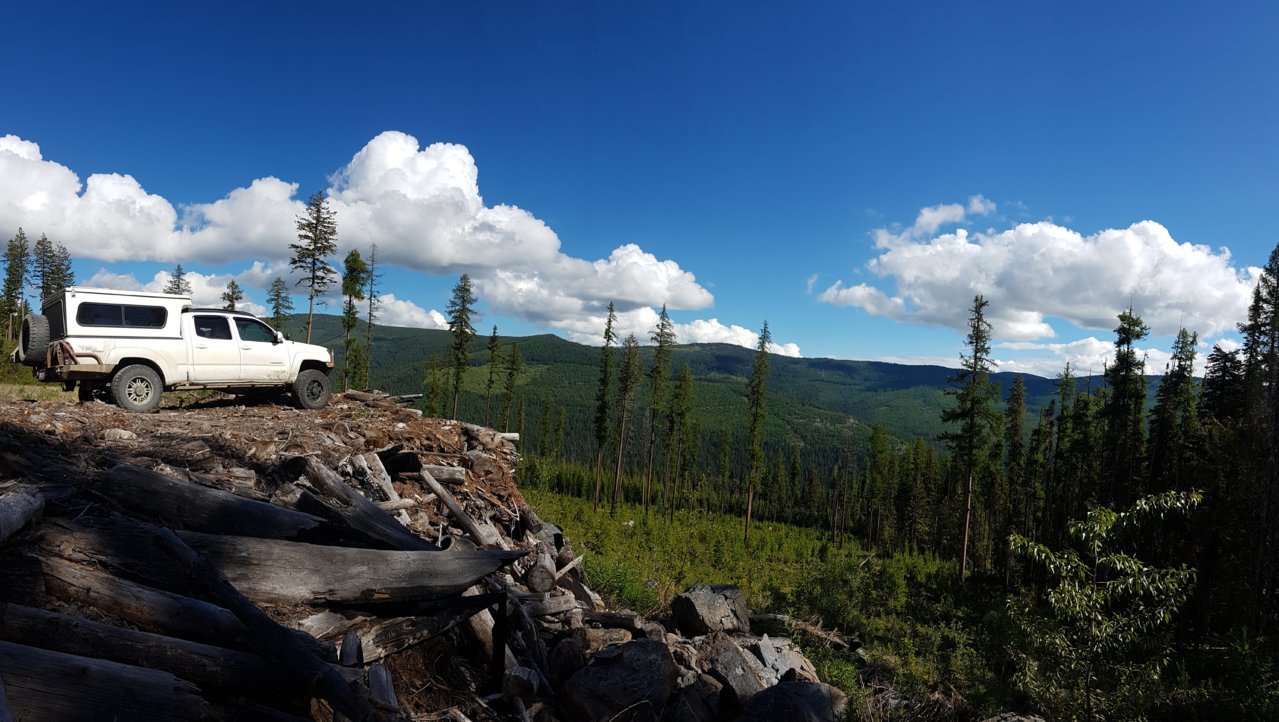 20180615_095439.jpg