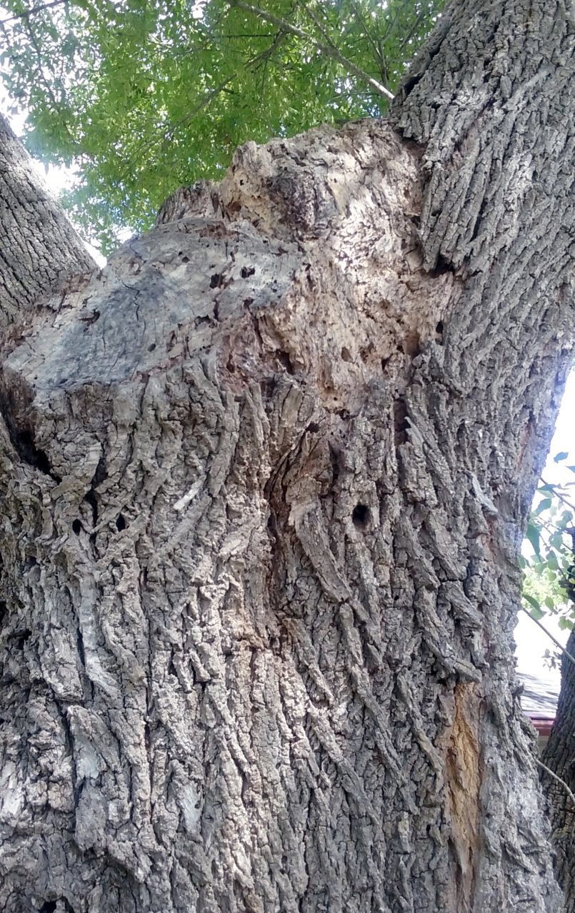 20180615_104745.jpg