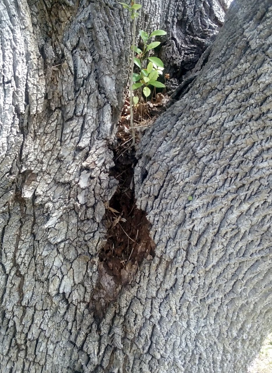 20180615_104837.jpg