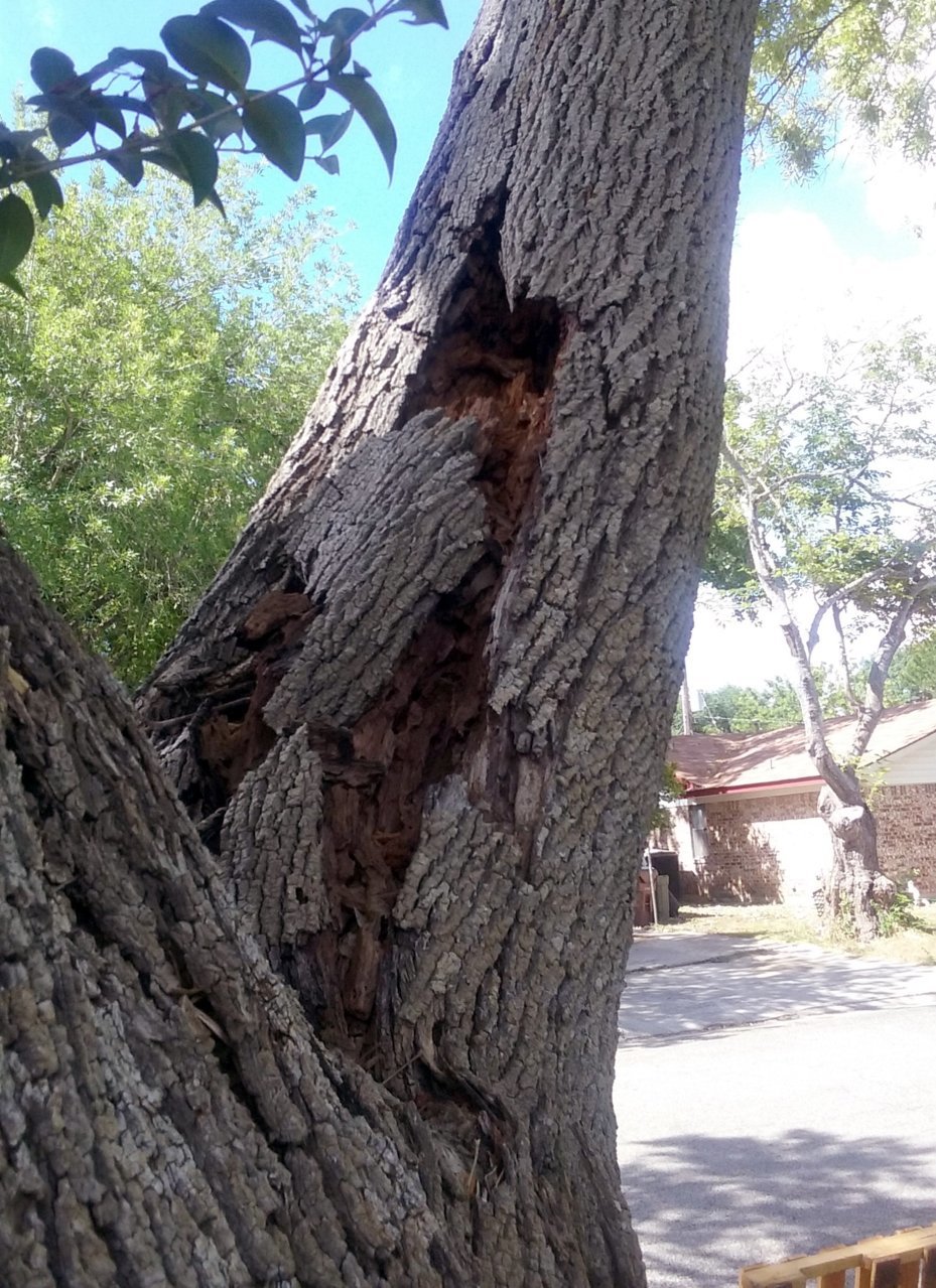 20180615_104901.jpg