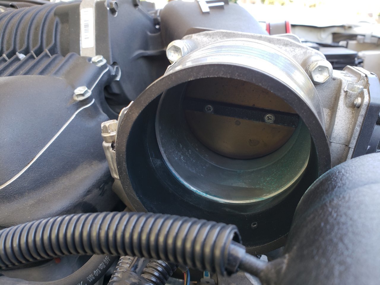 20180615_133117.jpg