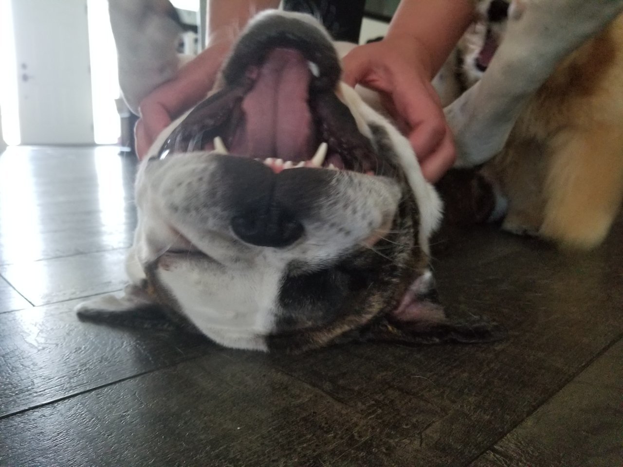 20180615_170434.jpg