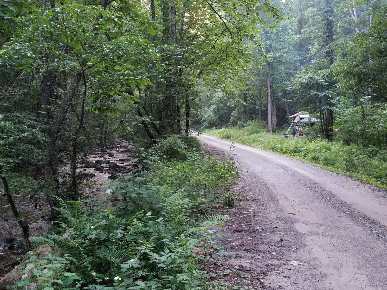 20180615_203659.jpg