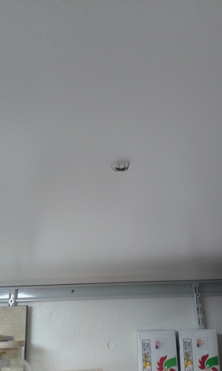 20180615_235144.jpg