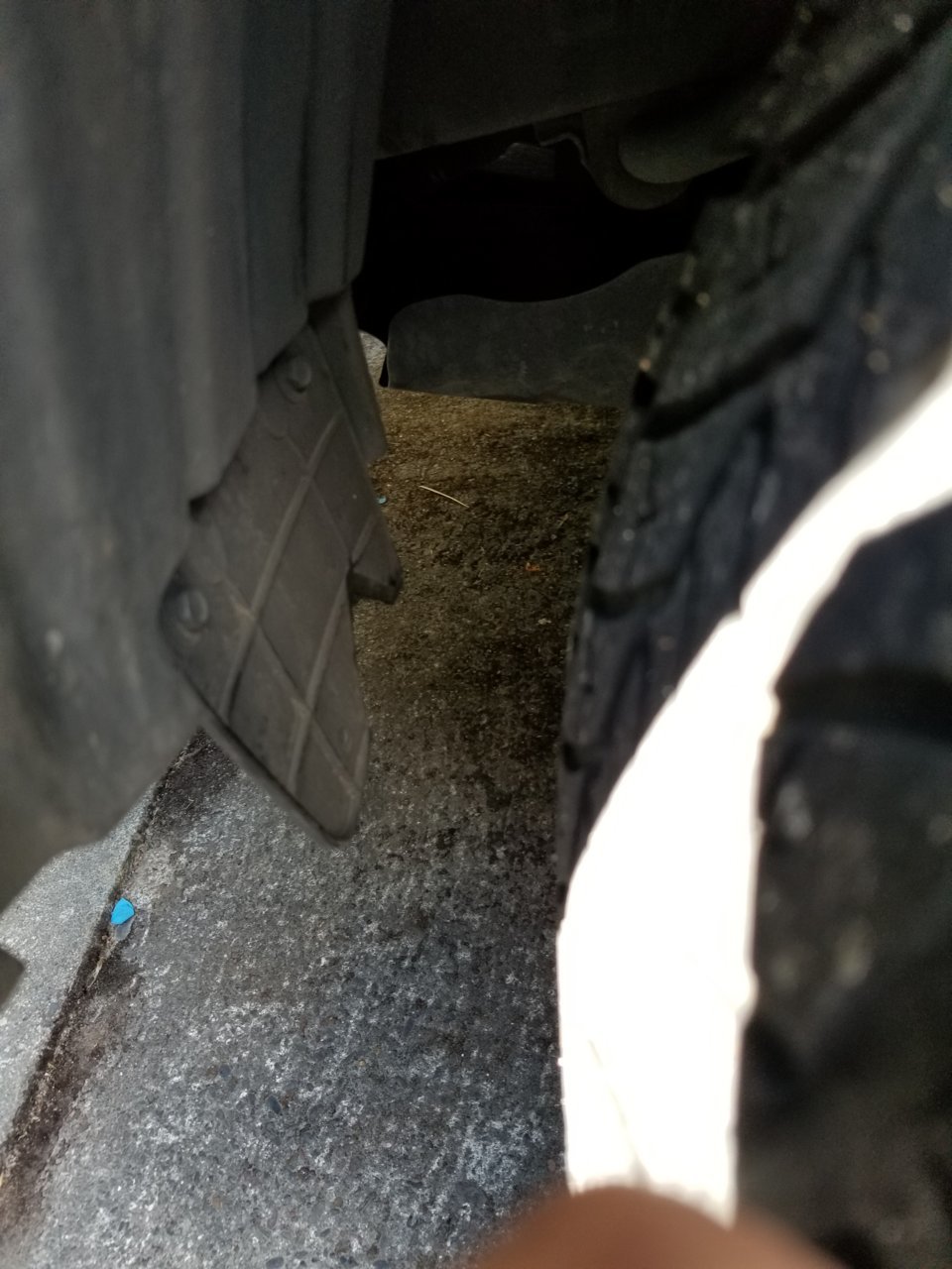 20180616_105717.jpg