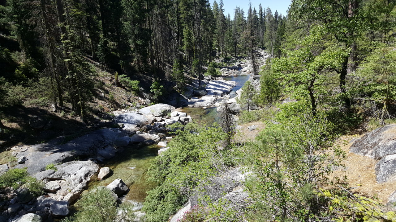 20180616_111443.jpg