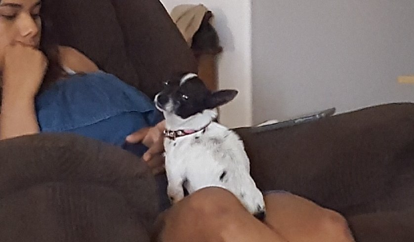 20180616_121324.jpg