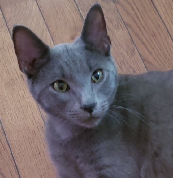 20180616_140732.jpg