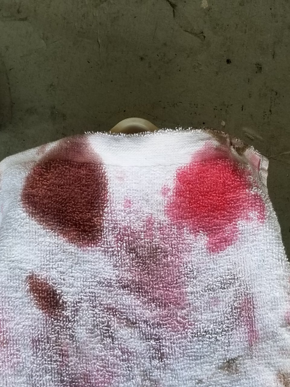 20180616_155735.jpg