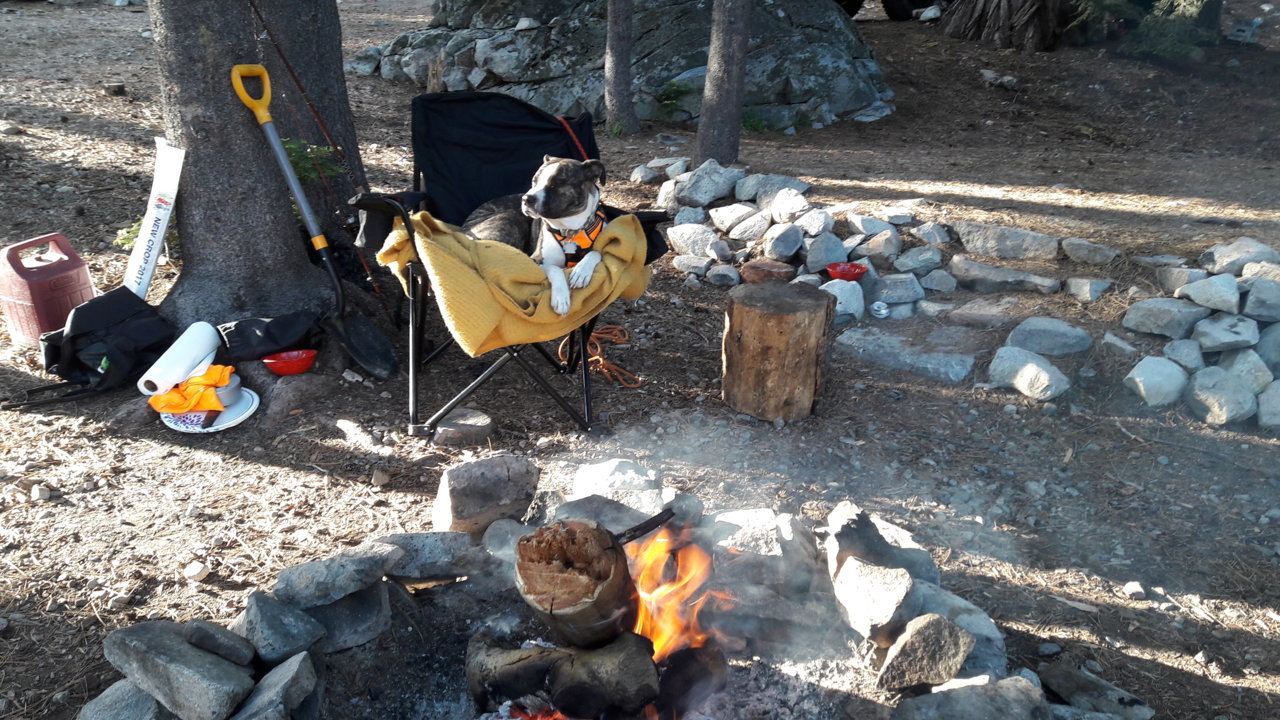 20180616_185536.jpg