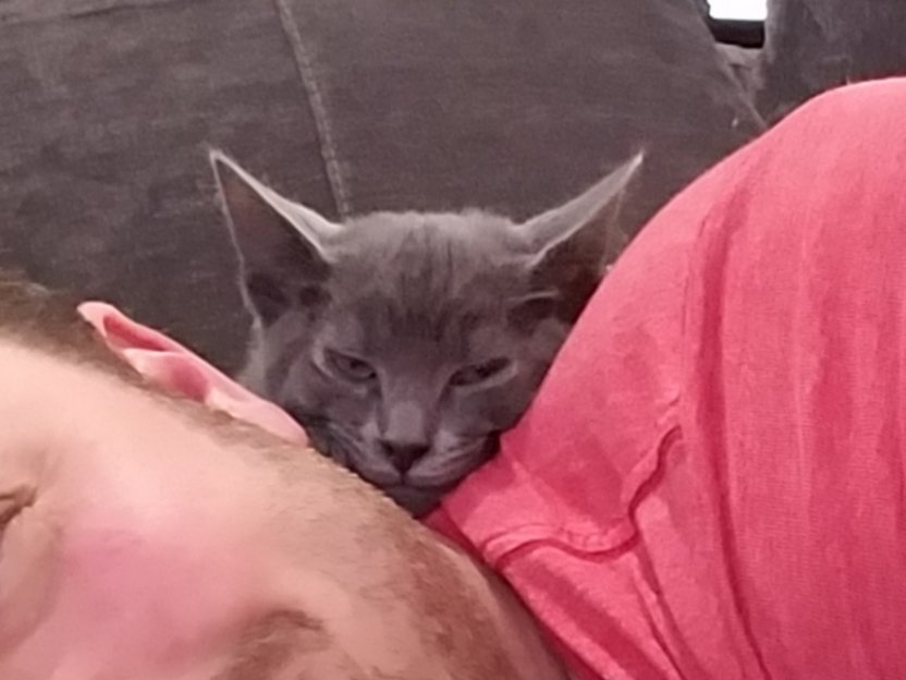 20180616_214126.jpg