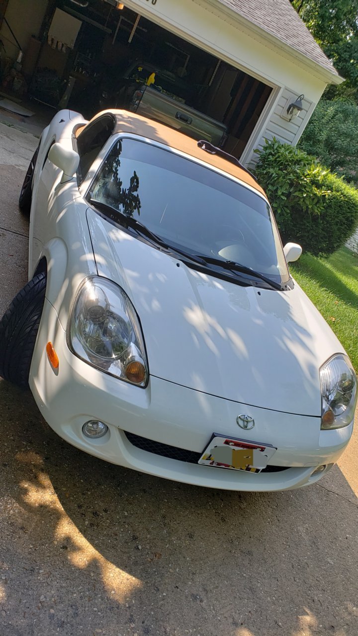 20180617_101133.jpg