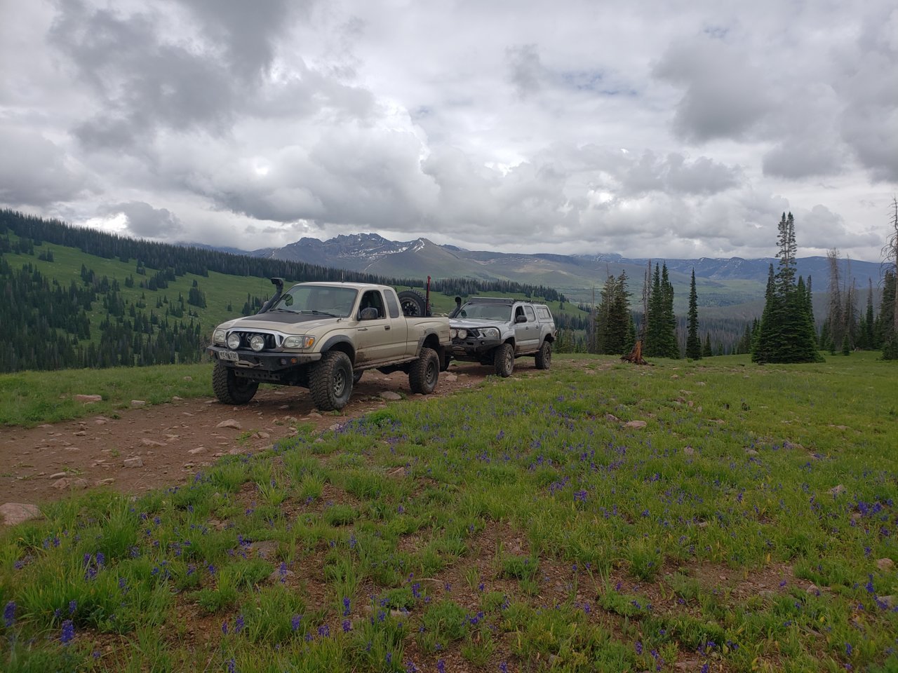 20180617_142418.jpg