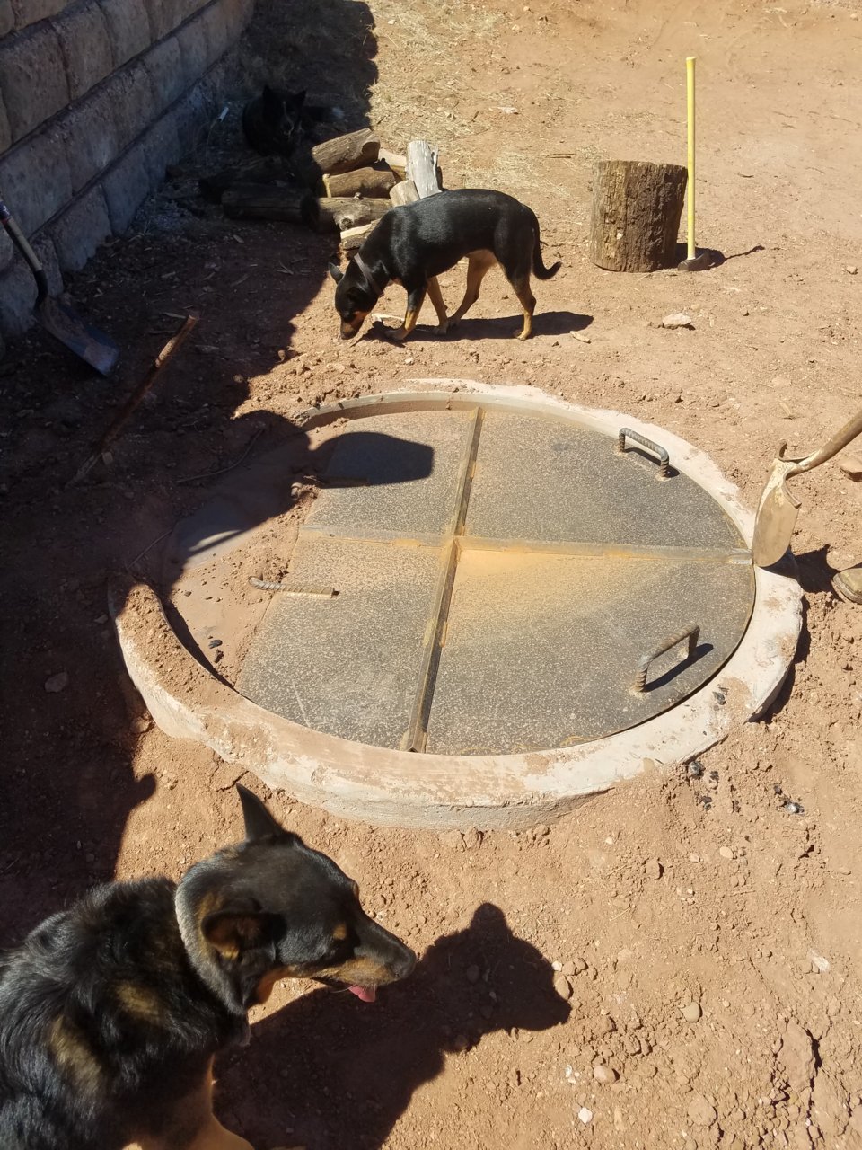20180617_145711.jpg