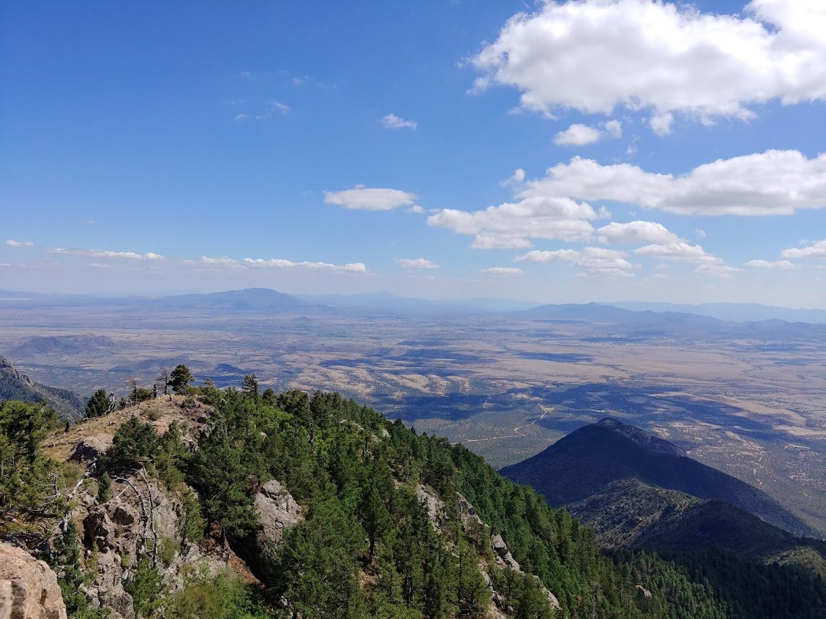 20180617_150823_HDR.jpg