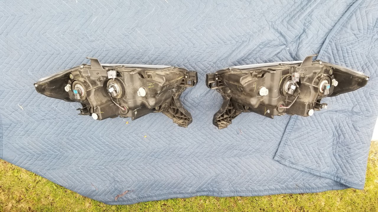 20180617_164331.jpg