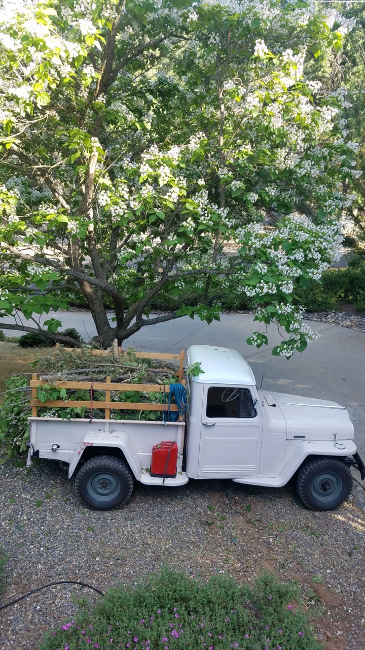 20180617_173959.jpg