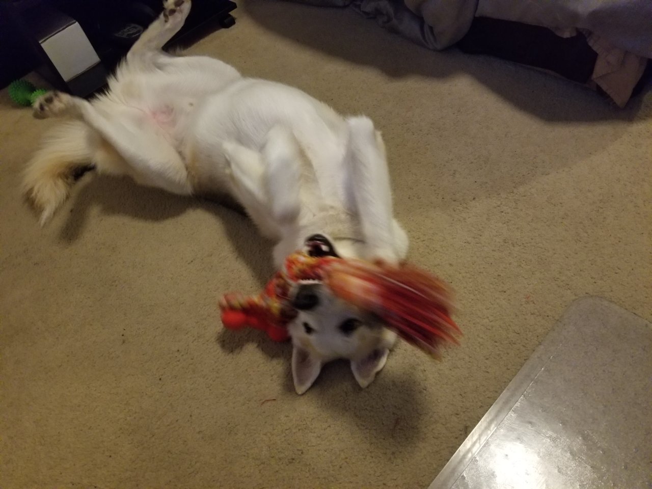 20180617_201207.jpg